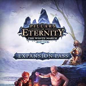 Comprar Pillars of Eternity The White March Expansion Pass CD Key Comparar Precios