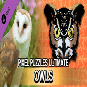 Comprar Pixel Puzzles Ultimate Puzzle Pack Owls CD Key Comparar Precios