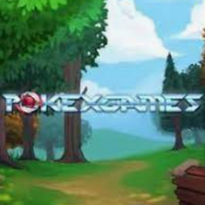 PokeXGames Gift Card Pc