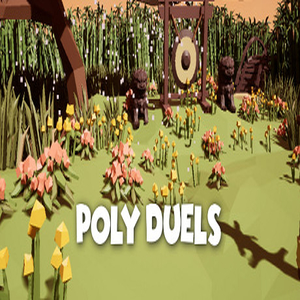Comprar Poly Duels CD Key Comparar Precios