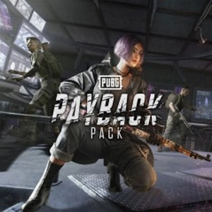 PUBG Payback Pack Pc