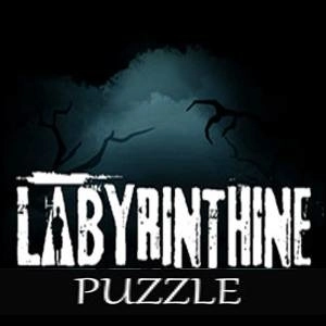 Puzzle For Labyrinthine Xbox Series X