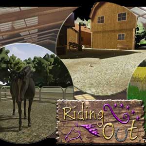 Comprar Riding Out CD Key Comparar Precios