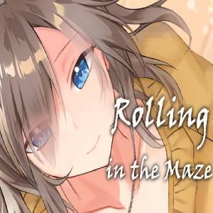 Comprar Rolling in the Maze CD Key Comparar Precios