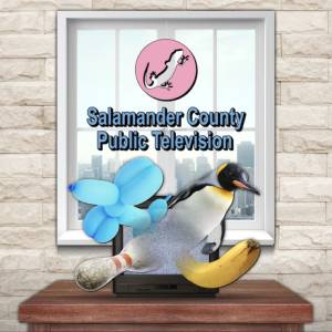 Comprar Salamander County Public Television Nintendo Switch Barato comparar precios