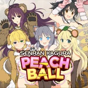 SENRAN KAGURA Peach Ball New Outfit Quartet Pc