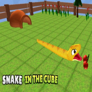 Snake In The Cube Pc