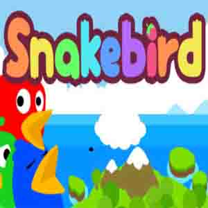 Comprar Snakebird CD Key Comparar Precios