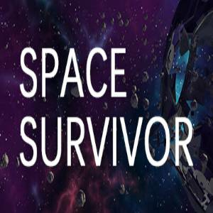 Space Survivor Pc
