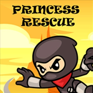 Super NinjaRian Princess Rescue