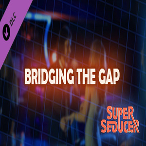 Comprar Super Seducer Bonus Video 4 Bridging the Gap CD Key Comparar Precios