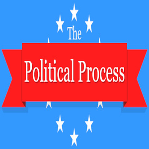 Comprar The Political Process CD Key Comparar Precios