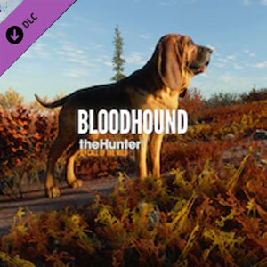 Comprar theHunter Call of the Wild Bloodhound Ps4 Barato Comparar Precios