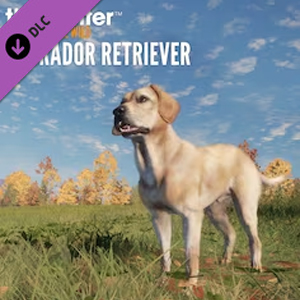 theHunter Call of the Wild Labrador Retriever Xbox One