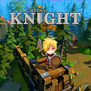 Comprar Tiny Knight CD Key Comparar Precios