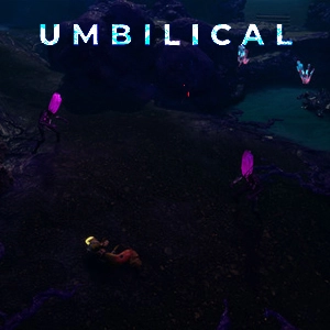 Umbilical Pc