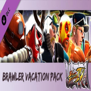 USF4 Brawler Vacation Pack Pc