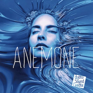 Visual Novel Maker ANEMONE Pc