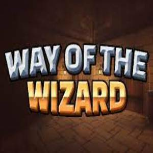 Way of the Wizard Pc