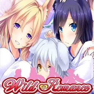 Wild Romance Pc
