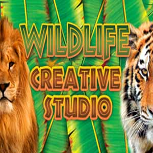 Comprar Wildlife Creative Studio CD Key Comparar Precios