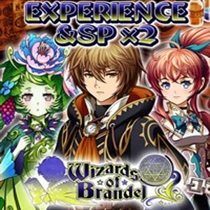 Wizards of Brandel Experience & SP x2 Switch