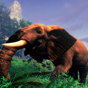 Cabelas African Adventures - Elefante