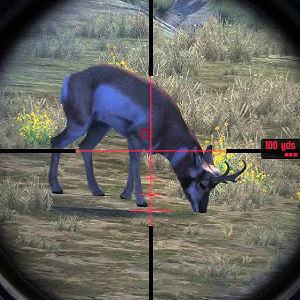 Cabela's Big Game Hunter Pro Hunts - Objetivo