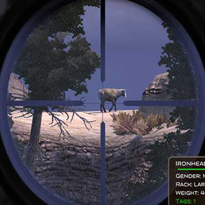 Cabela's The Hunt - Objetivo