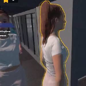 Cabin Crew Life Simulator - Pasajeros