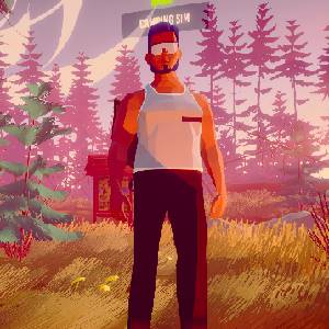 Camping Simulator: The Squad - Personalización