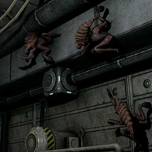 Criaturas en el muro