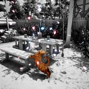 Cat Me If You Can - Gato Naranja