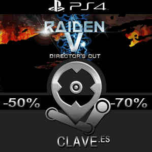 RAIDEN 5 Playstation 4