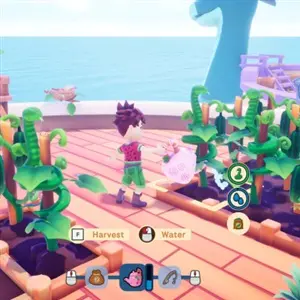 Collector's Cove - Water