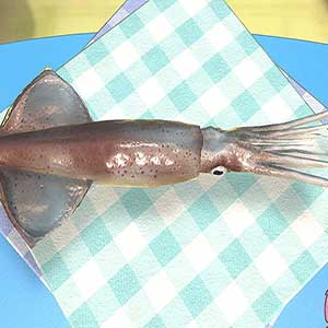 recetas clásicas japonesas