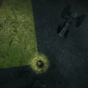 Darkwood Ruinas