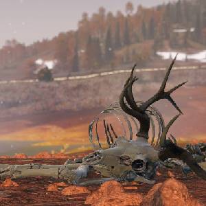 DayZ Frostline - Huesos de Carcasa