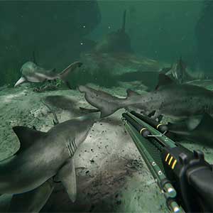 Death in the Water 2 - Tiburones Marinos
