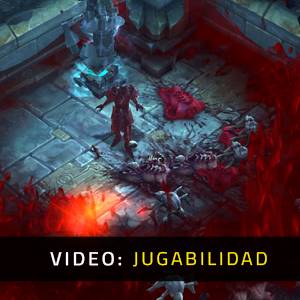 Diablo 3 Rise of the Necromancer - Jugabilidad