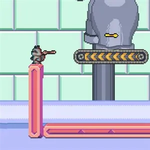 Dimensional Animals - Mapache