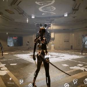 DISORDER 2025 - Jefe