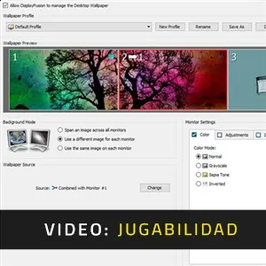 DisplayFusion - Jugabilidad