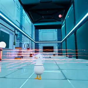 Dodo Duckie - Rejillas Láser