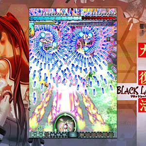 DoDonPachi Resurrection Etiqueta Negra