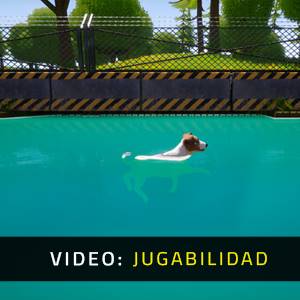 Dogs Club Video de la Jugabilidad