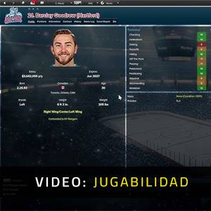 Eastside Hockey Manager - Jugabilidad