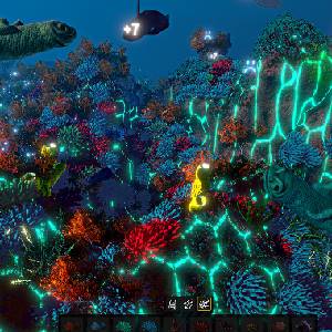 Ecosystem - Coral Solar