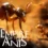 Mira el impresionante tráiler de UE5 de Empire of the Ants