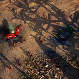 Empires of the Undergrowth Escarabajo Luchador